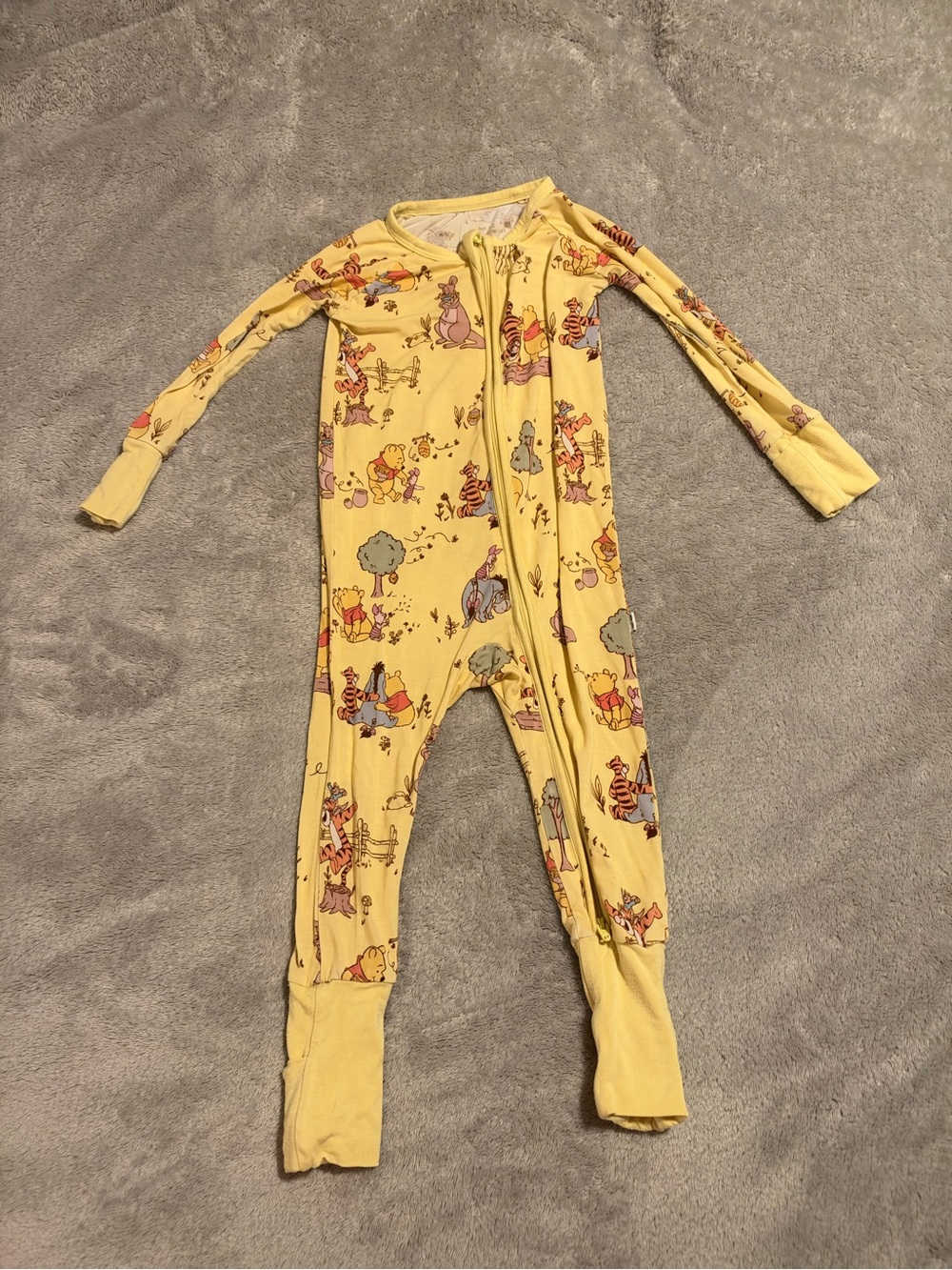 Little Sleepies Limited Edition Winnie the Pooh Kids One-Piece Zippy: 6-12 Month